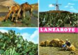 Lanzarote postcard 1983