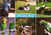 Gran Canaria Postcard Palmitos Park