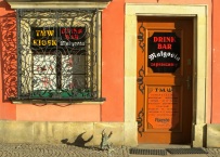 Drink Bar Wroclaw poland