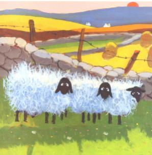 Wales Rain Sheep