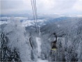 Black Forest Cable Car 01