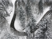 Black Forest Snow 05