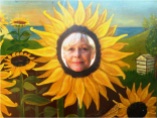 Suffolk Sunflower