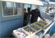 Rimini Fish Market