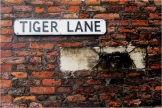Beverley Tiger Lane