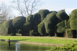 Ayscoughfee Hall Yew Trees