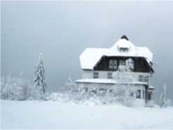 Black Forest Snow 07