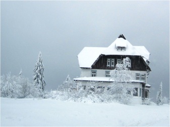 Black Forest Snow 07