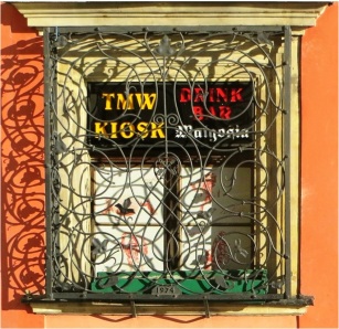 Wroclaw window with grill